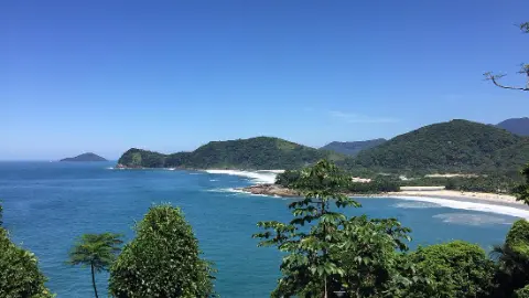 Camburi