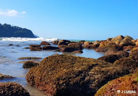Camburizinho