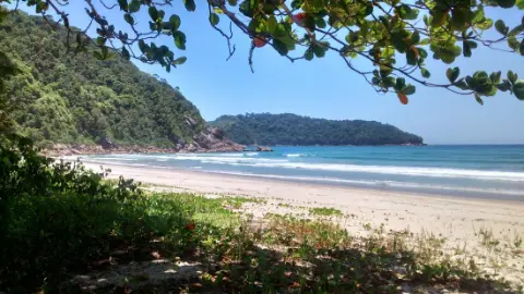 Praia Brava (Camburi)