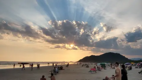 Boracéia